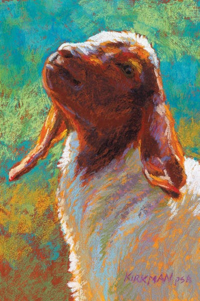 Golden Hour Animals: Gumshu by Rita Kirkman