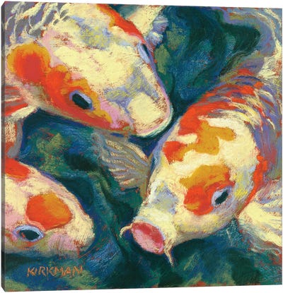 Koi VIII Canvas Art Print - Koi Fish Art