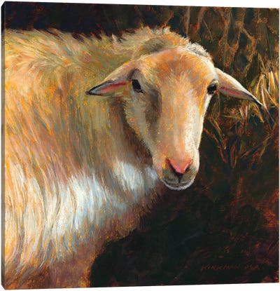 Marjoram Canvas Art Print - Sheep Art