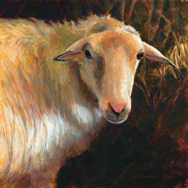 Sheep: Marjoram by Rita Kirkman