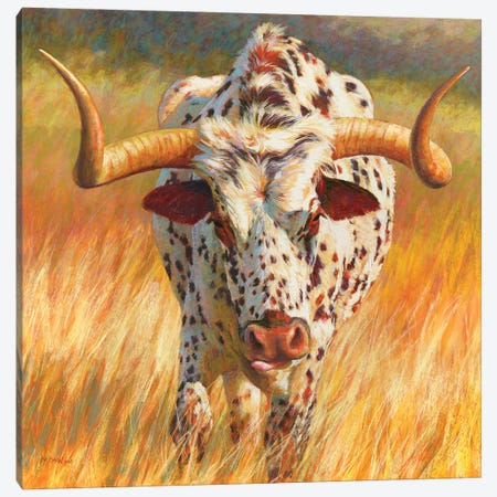 No Bull Canvas Print #RKK73} by Rita Kirkman Canvas Wall Art