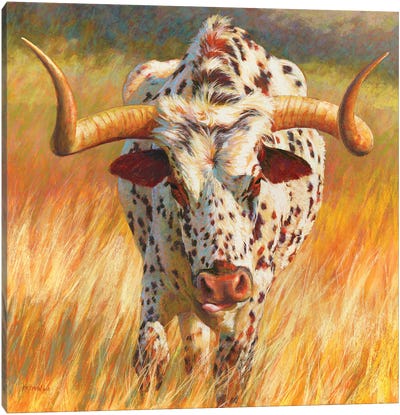 No Bull Canvas Art Print - Golden Hour Animals