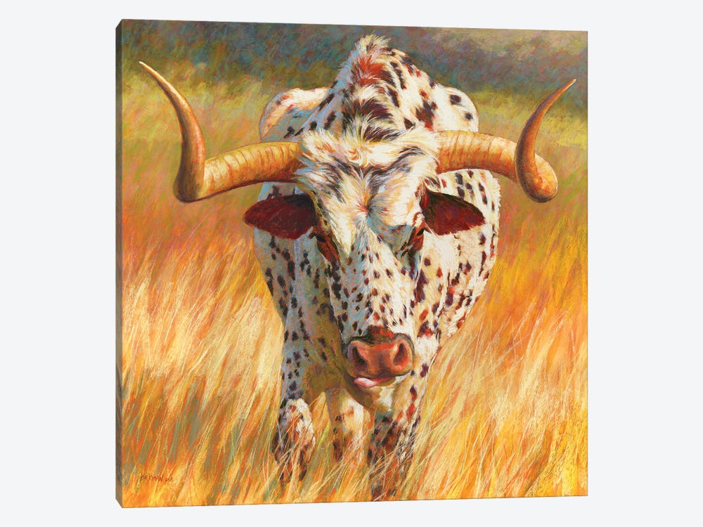 No Bull by Rita Kirkman 1-piece Canvas Art Print