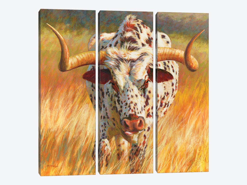 No Bull by Rita Kirkman 3-piece Canvas Print