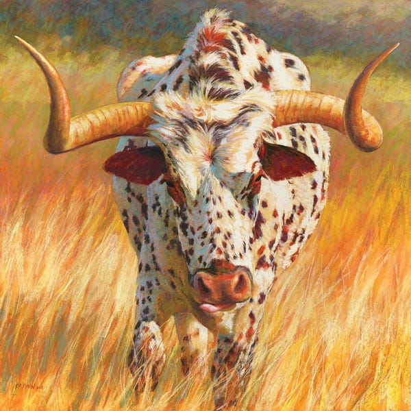 Golden Hour Animals: No Bull by Rita Kirkman