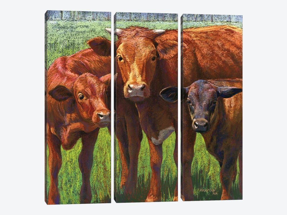 Out Standing In Her Field by Rita Kirkman 3-piece Canvas Art Print