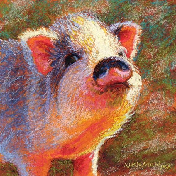 Golden Hour Animals: Petunia by Rita Kirkman