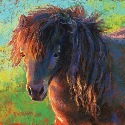 Pretty Pony by Rita Kirkman gallery poster