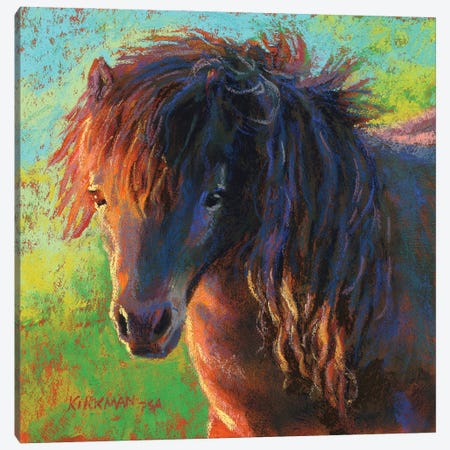 Pretty Pony Canvas Print #RKK78} by Rita Kirkman Canvas Artwork
