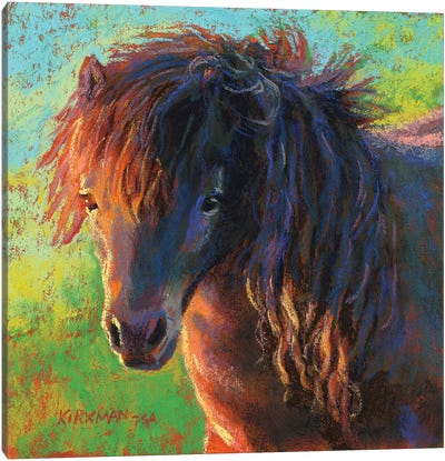 Pretty Pony Canvas Art Print - Rita Kirkman