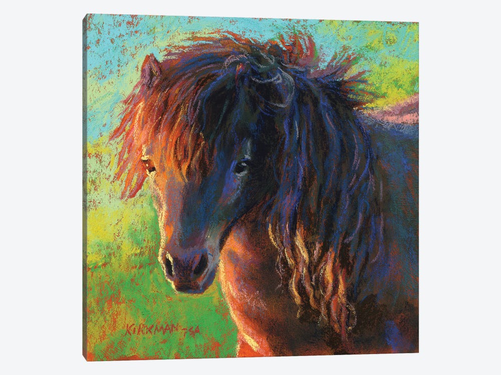 Pretty Pony by Rita Kirkman 1-piece Canvas Wall Art