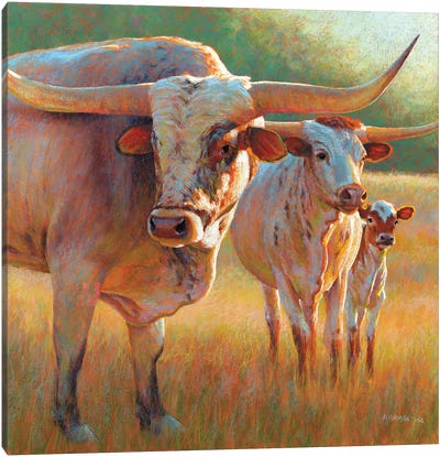 A Texas Tradition Canvas Art Print - Longhorn Art