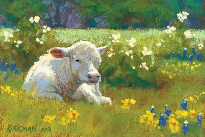 Springtime In Texas by Rita Kirkman gallery poster