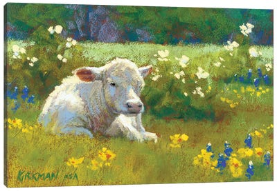 Springtime In Texas Canvas Art Print - Rita Kirkman