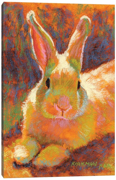 Sunny Bun Canvas Art Print - Golden Hour Animals