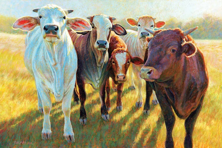 The Bovines