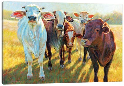 The Bovines Canvas Art Print - Golden Hour Animals