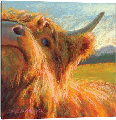 The Real Iris Canvas Art Print - Highland Cow Art