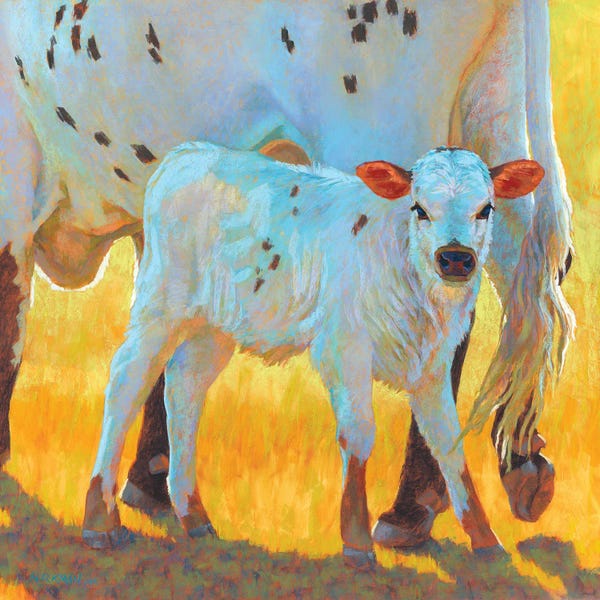 Golden Hour Animals: The Quiet Side Of White by Rita Kirkman