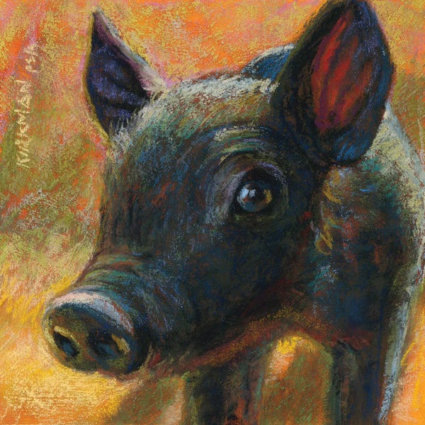 Pigs: Velvet by Rita Kirkman