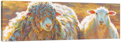 Winter Spring Canvas Art Print - Sheep Art