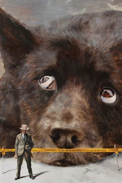 Nothing To See Here...: Abnormal by Rudolf Kosow