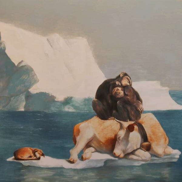 Chimpanzees: Teamwise by Rudolf Kosow