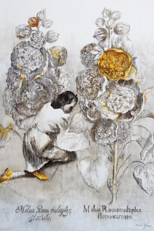 Malua Rosea Multiplex by Rudolf Kosow wall art