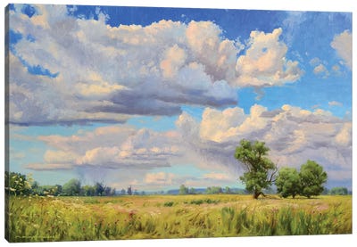 Heaven Canvas Art Print - Field, Grassland & Meadow Art