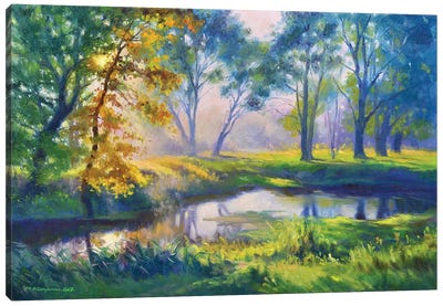 Sunny Morning Canvas Art Print - Ruslan Kiprych