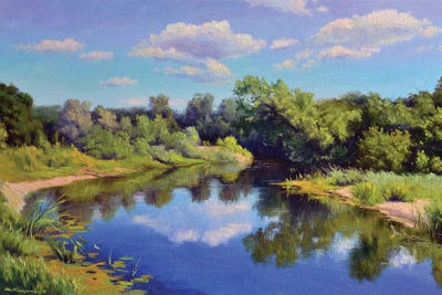 Forest River by Ruslan Kiprych art print