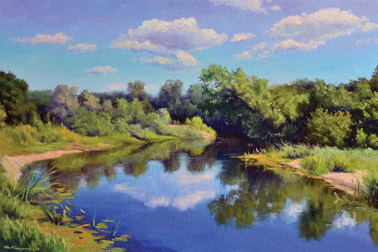Forest River by Ruslan Kiprych wall art