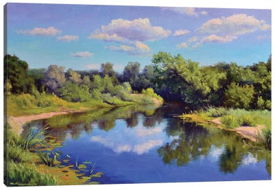 Forest River Canvas Art Print - Ruslan Kiprych