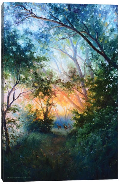 Magical Dawn Canvas Art Print - Ruslan Kiprych