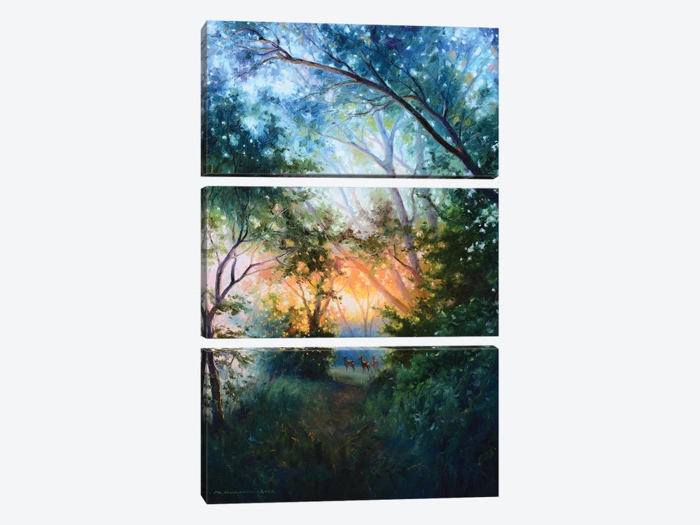 Magical Dawn by Ruslan Kiprych 3-piece Canvas Print