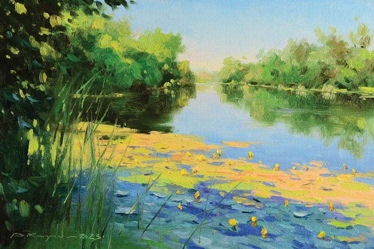 Water Lilies In The Shade by Ruslan Kiprych wall art