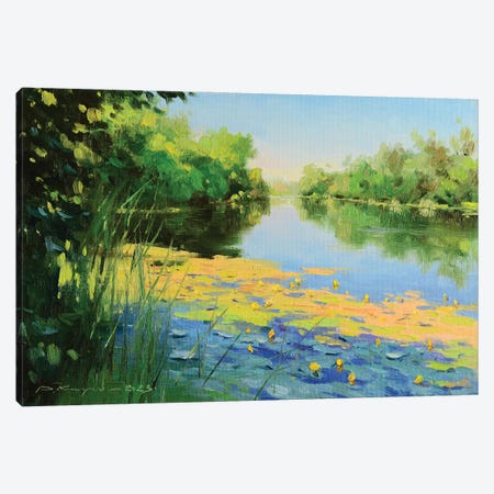 Water Lilies In The Shade Canvas Print #RKP23} by Ruslan Kiprych Canvas Wall Art
