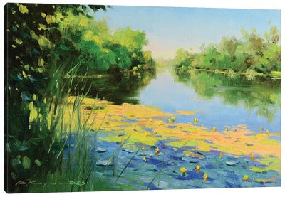 Water Lilies In The Shade Canvas Art Print - Ruslan Kiprych