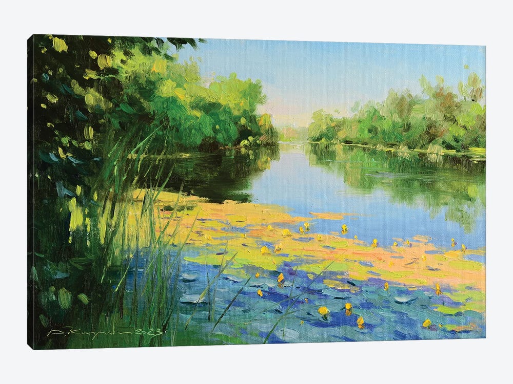 Water Lilies In The Shade by Ruslan Kiprych 1-piece Canvas Artwork