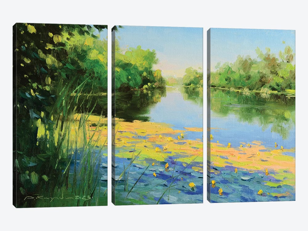 Water Lilies In The Shade by Ruslan Kiprych 3-piece Canvas Art