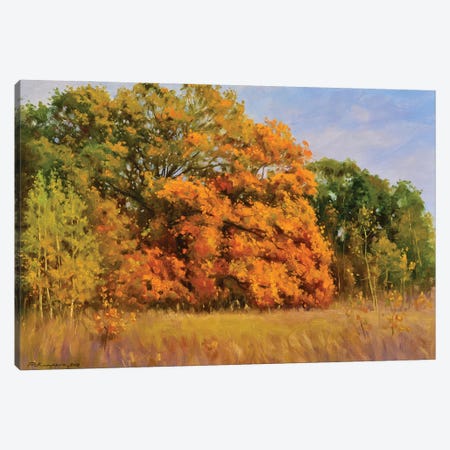 Golden Oak Grove Canvas Print #RKP24} by Ruslan Kiprych Canvas Art Print