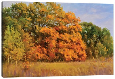 Golden Oak Grove Canvas Art Print - Ruslan Kiprych