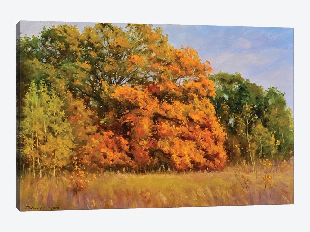Golden Oak Grove by Ruslan Kiprych 1-piece Canvas Art Print