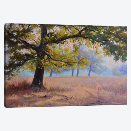 Autumn In An Oak Grove Canvas Print #RKP25} by Ruslan Kiprych Canvas Print