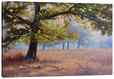 Autumn In An Oak Grove Canvas Art Print - Ruslan Kiprych