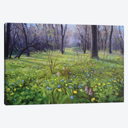 Forest In Spring Canvas Print #RKP30} by Ruslan Kiprych Canvas Art Print