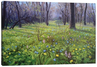Forest In Spring Canvas Art Print
