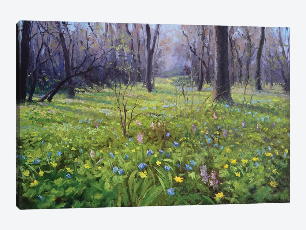 Forest In Spring by Ruslan Kiprych 1-piece Canvas Wall Art