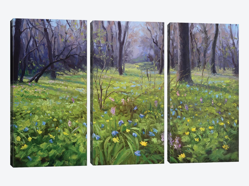 Forest In Spring by Ruslan Kiprych 3-piece Canvas Artwork