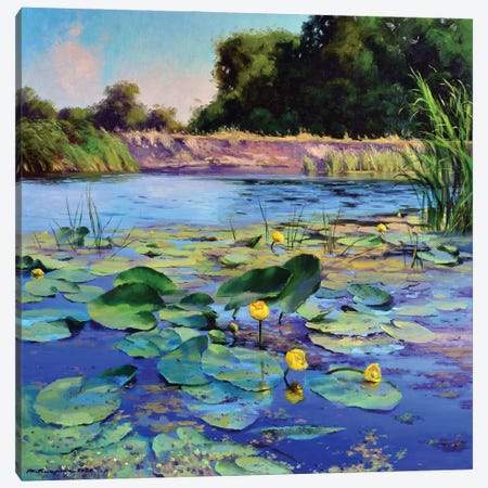 Water Lilies On A Sunny Day Canvas Print #RKP3} by Ruslan Kiprych Canvas Print